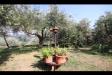 Casa indipendente in vendita con giardino a Pescaglia in localit� corso 1 - 05, RUSTICO IN PIETRA - IA04258 (21)