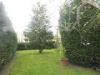 Villa in affitto con giardino a Lucca in via di sorbano san concordio - sud - 04, DSCN9249.JPG