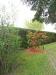 Villa in affitto con giardino a Lucca in via di sorbano san concordio - sud - 06, DSCN9255.JPG