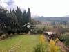 Villa in vendita con giardino a Calci - castelmaggiore - 02