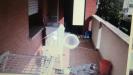 Appartamento in vendita con terrazzo a Lucca - sant'anna - 03