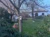 Villa in vendita con giardino a San Giuliano Terme - pontasserchio - 03