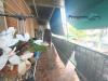 Appartamento in vendita con box a Borghetto Santo Spirito in via michelangelo 10 - 02, Foto 2