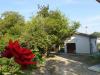 Casa indipendente in vendita con giardino a San Benedetto Po - 06, Immagine 6 immobile 3389
