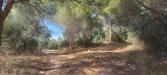Terreno in vendita classe A4 a Follonica - 02