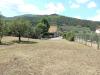Villa in vendita con giardino a Capannori - san giusto - 03