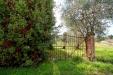 Villa in vendita con giardino a Camaiore in via savoia - 07