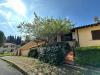 Casa indipendente in vendita con giardino a Monterotondo Marittimo - 03