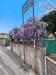 Appartamento bilocale in vendita a Campiglia Marittima - 04