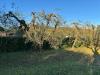 Terreno Agricolo in vendita a Campiglia Marittima - venturina - 04