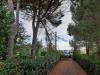 Casa indipendente in vendita da ristrutturare a Terricciola - selvatelle - 02