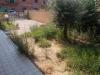 Appartamento in affitto con giardino a Ponsacco - 06