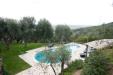 Villa in vendita con giardino a Pietrasanta - 06