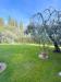 Appartamento bilocale in vendita con giardino a Rosignano Marittimo in stradone del belvedere - 02