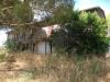 Rustico in vendita da ristrutturare a Bibbona - 02