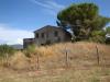 Rustico in vendita da ristrutturare a Bibbona - 05