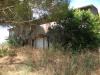 Rustico in vendita da ristrutturare a Bibbona - 03