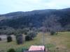 Terreno in vendita a Riparbella - 04