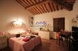Casa indipendente in vendita con giardino a Vecchiano - nodica - 06