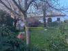 Villa in vendita con giardino a San Giuliano Terme - pontasserchio - 03