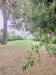 Casa indipendente in vendita con giardino a San Giuliano Terme - arena metato - 02
