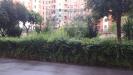 Appartamento monolocale in affitto arredato a Roma - 02