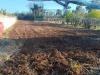 Terreno Agricolo in vendita a San Cesareo - 05