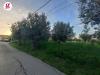 Terreno Edificabile in vendita a Vasto in via dei bontempi - 06, Foto 6