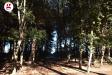 Appartamento in vendita con giardino a Vasto in viale dalmazia snc - 06, Foto 6