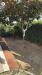 Appartamento in affitto con giardino a Vasto in strada statale 16 sud 341 - 05, Foto 5