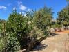 Casa indipendente in vendita con giardino a Anguillara Sabazia - 05
