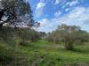 Terreno Agricolo in vendita a Livorno - limoncino - 06