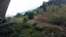 Terreno in vendita a Pelago in via forlivese - 10, Foto