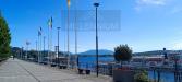 Ristorante e pizzeria in gestione a Arona - 09