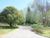 Villa in vendita con giardino a Camaiore - valpromaro - 05