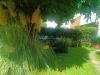 Villa in vendita con giardino a Montignoso - cinquale - 06