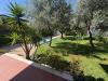 Villa in affitto arredato a Montignoso - cinquale - 06