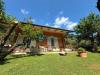 Villa in vendita con giardino a Massa - mirteto - 03
