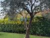 Casa indipendente in vendita con giardino a Massa - turano - 04