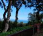 Villa in vendita con giardino a Castiglione della Pescaia - 04