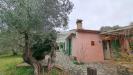 Rustico in vendita con giardino a Rosignano Marittimo - 03