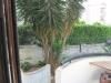 Appartamento in affitto arredato a Brindisi - 05, IMG_0428.JPG