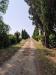 Appartamento bilocale in affitto arredato a Brindisi - 05, FOTO 5.jpeg