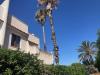Villa in vendita ristrutturato a Brindisi - 04, IMG_9471.jpg
