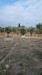 Terreno Edificabile in vendita a Carovigno - 08, 7.jpg