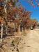 Villa in vendita da ristrutturare a Brindisi - 03, 1.jpg