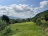 Terreno Agricolo in vendita a Lago - 06, IMG_2611.JPG