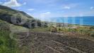 Terreno Edificabile in vendita a Amantea - 04, Immagine WhatsApp 2024-03-15 ore 13.17.10_d1a17eef