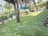 Casa indipendente in vendita a Cervia - 02, giardino2.jpg