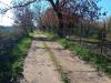 Terreno Edificabile in vendita a Civita Castellana - 09, 20250206_122015.jpg
